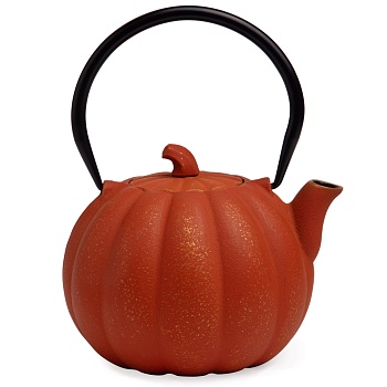 ЗАВАРОЧНЫЙ ЧАЙНИК ЧУГУННЫЙ С ЭМАЛИРОВАННЫМ ПОКРЫТИЕМ ВНУТРИ 900 МЛ